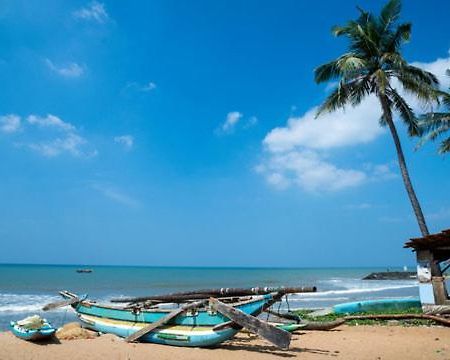 Aloe Vera Villa Negombo Exterior foto